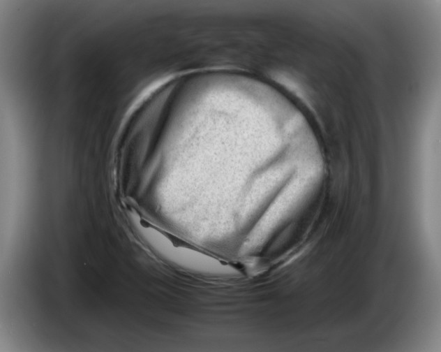 X0000085211415200703301631