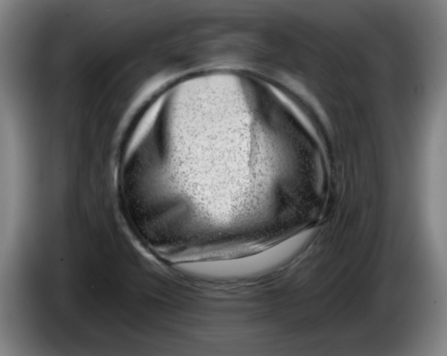 X0000085211416200703301631