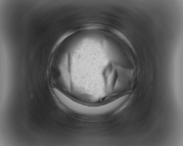 X0000085211417200703301631