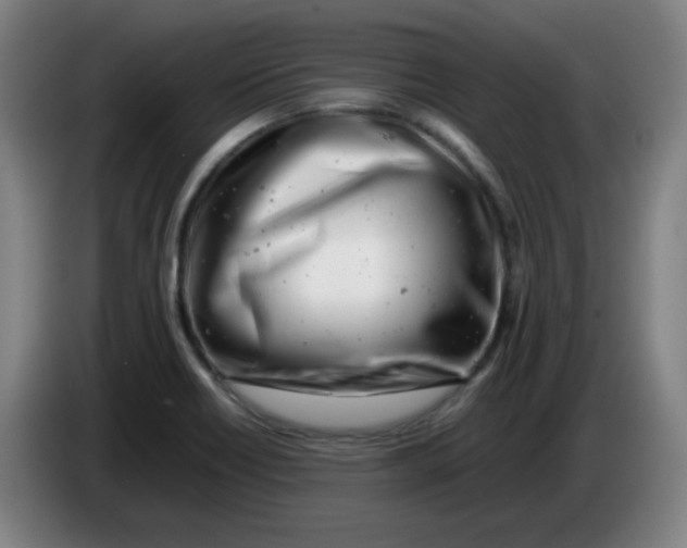 X0000085211418200703301631