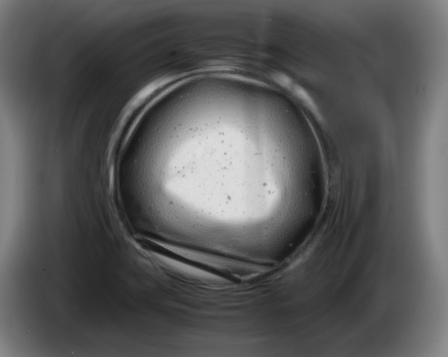 X0000085211419200703301632