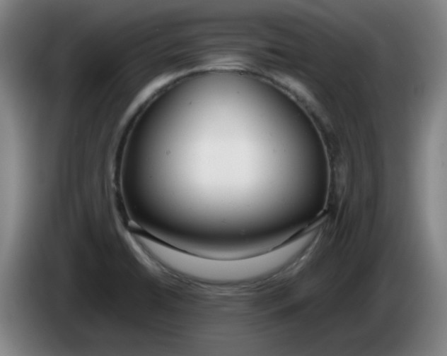 X0000085211422200703301632