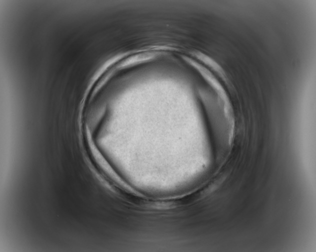 X0000085211423200703301632