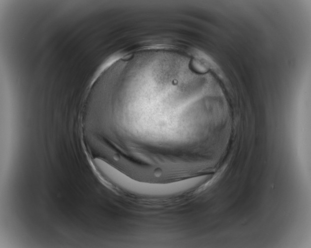 X0000085211425200703301632