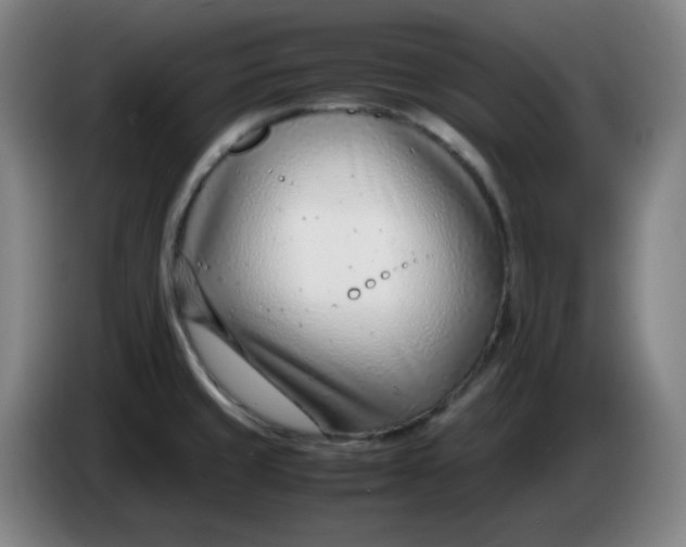 X0000085211429200703301632