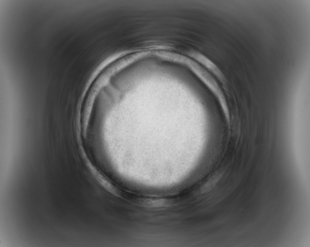 X0000085211431200703301632