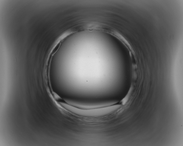 X0000085211434200703301632