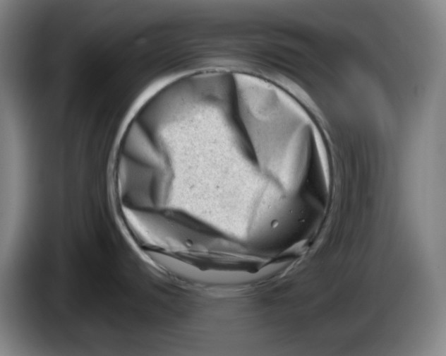 X0000085211440200703301632