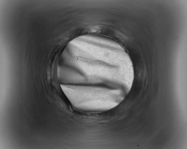 X0000085211442200703301631