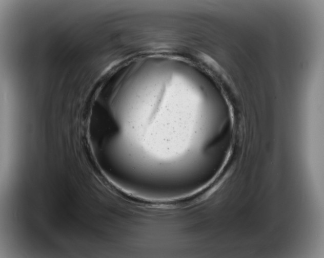 X0000085211449200703301631