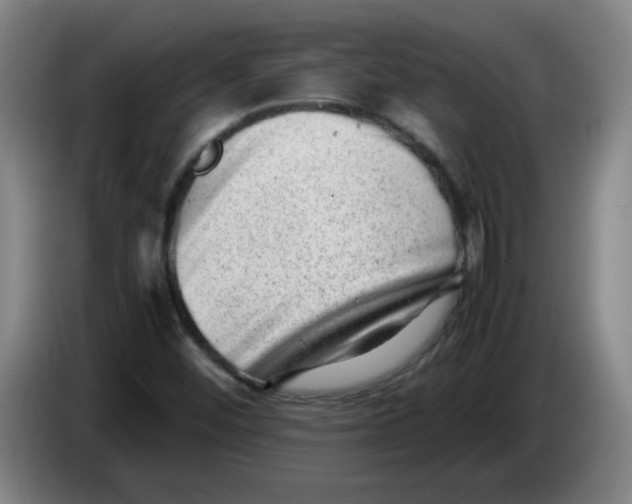 X0000085211452200703301631