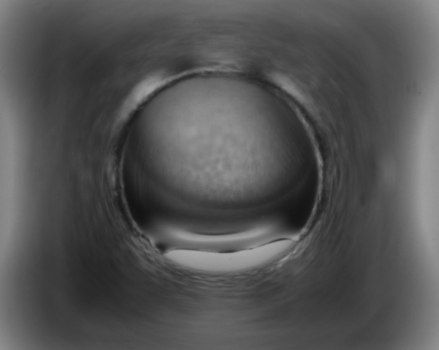 X0000085211455200703301631