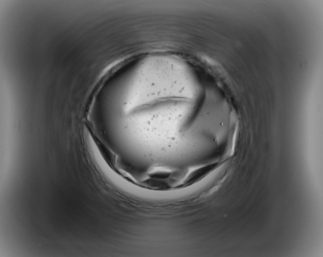 X0000085211457200703301631