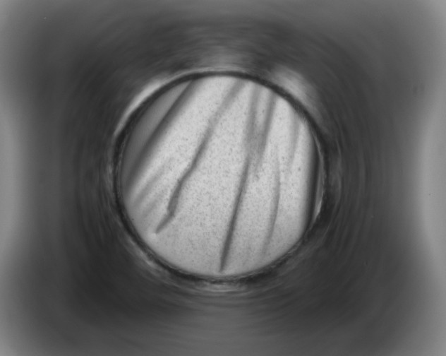 X0000085211460200703301631