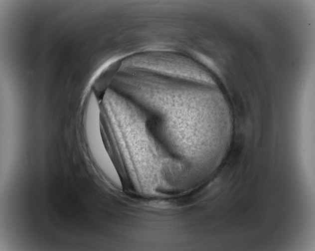 X0000085211463200703301631