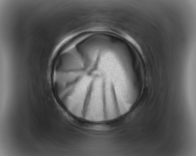 X0000085211464200703301631