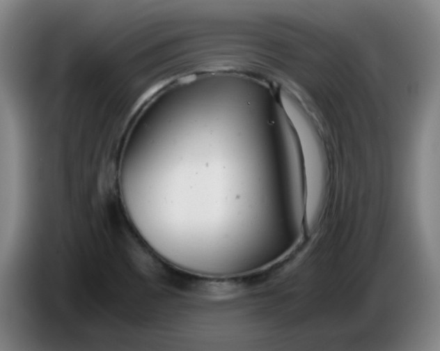 X0000085211465200703301631