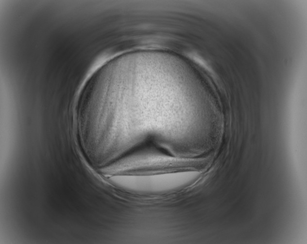 X0000085211467200703301631