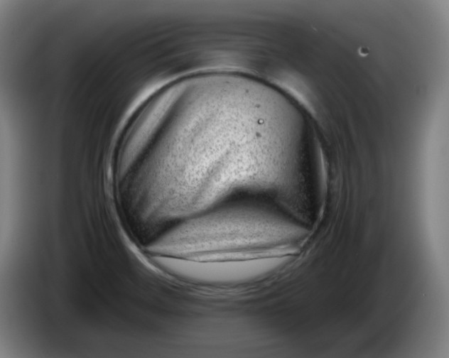 X0000085211468200703301631