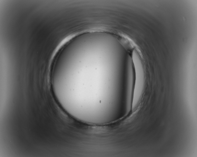 X0000085211469200703301631