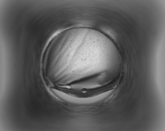 X0000085211471200703301631