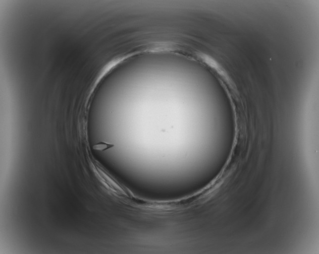 X0000085211473200703301631