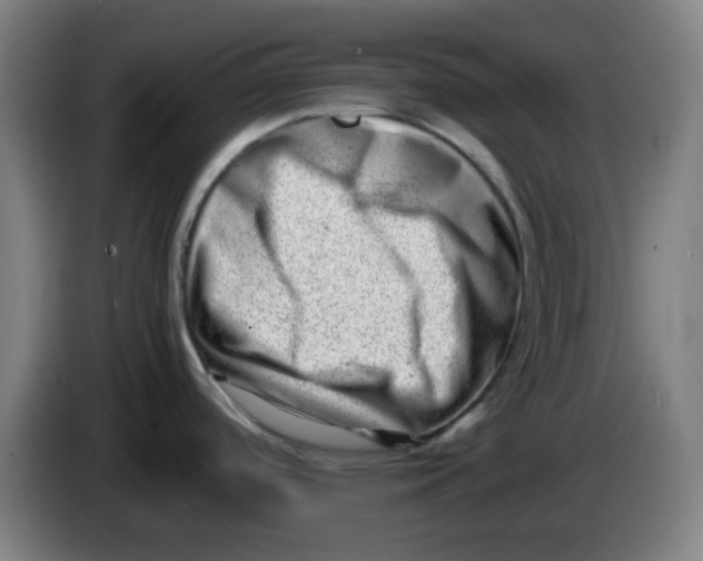 X0000085211488200703301630