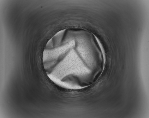 X0000085211489200703301630