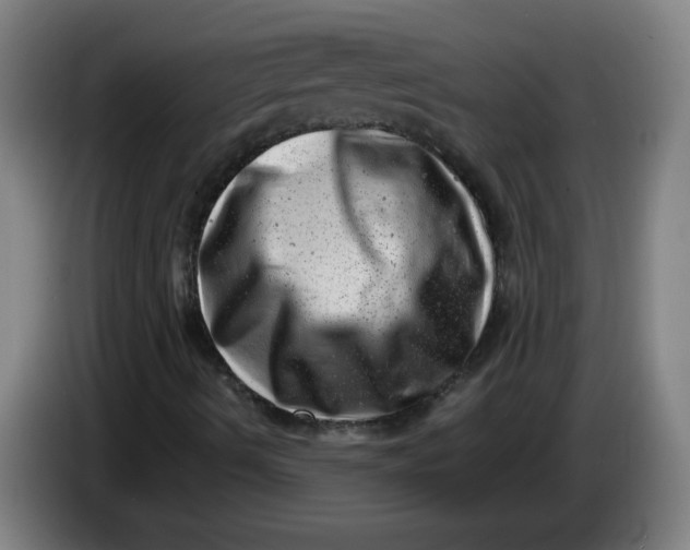 X0000085211490200703301630