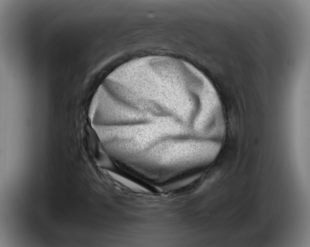 X0000085211494200703301630