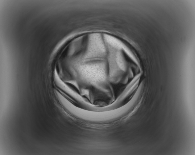 X0000085211502200703301630