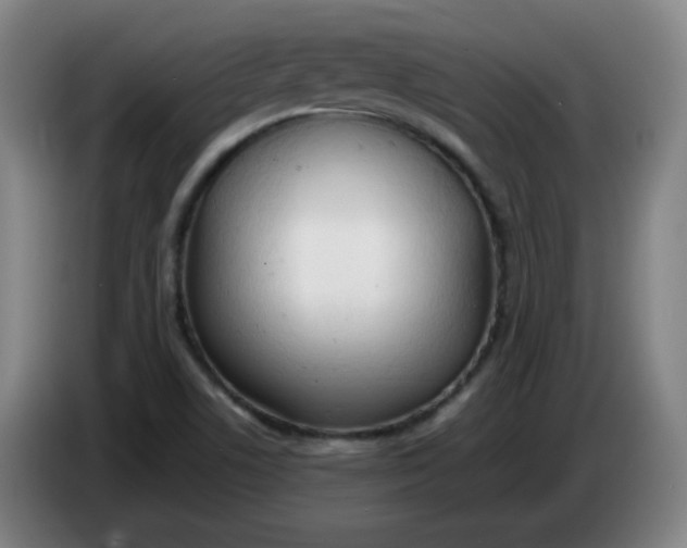 X0000085211506200703301630