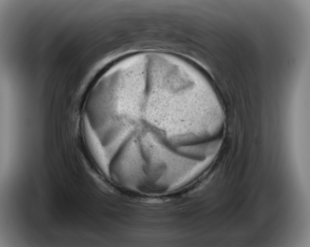 X0000085211507200703301630