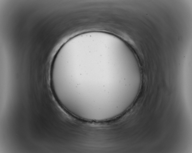 X0000085211512200703301630