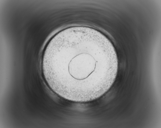 X0000085211514200703301630