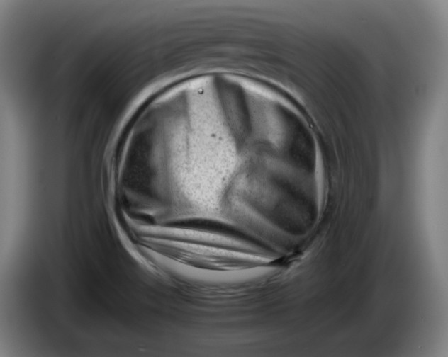 X0000085211515200703301630