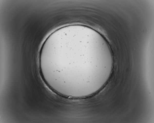 X0000085211516200703301630