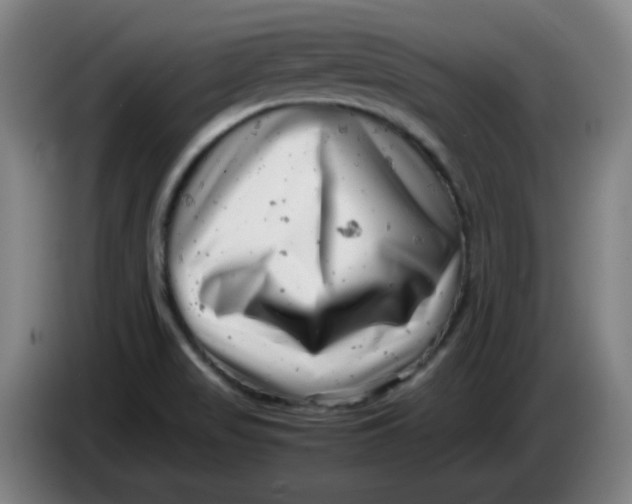 X0000085211517200703301630