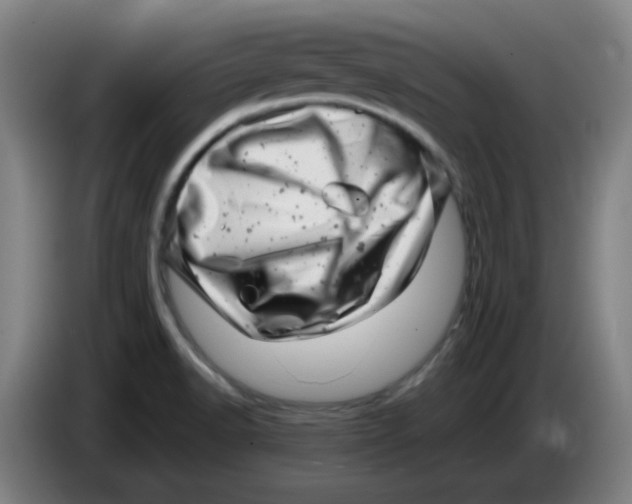 X0000085211518200703301630