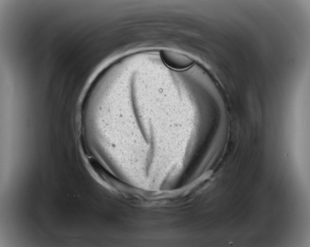 X0000085211519200703301630