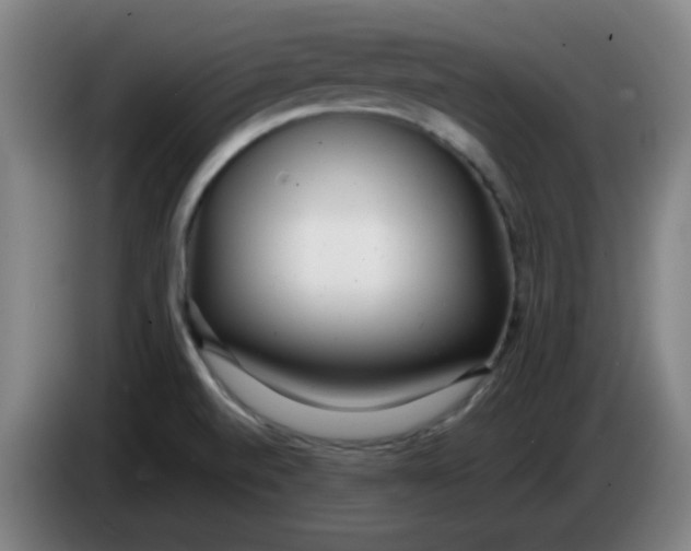 X0000085211520200703301630