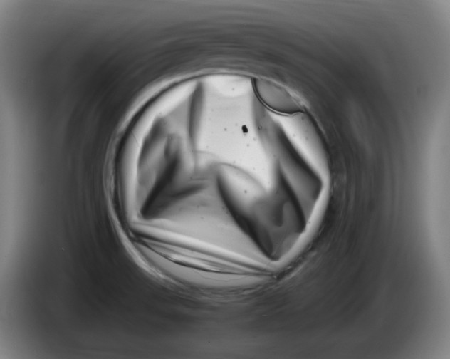 X0000085211523200703301630