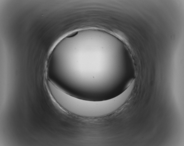 X0000085211524200703301630