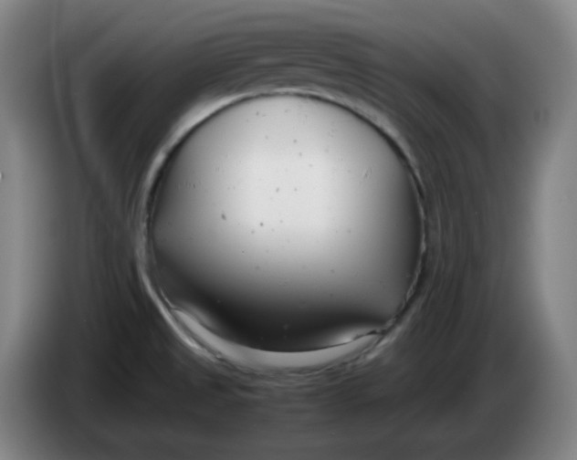 X0000085211525200703301630