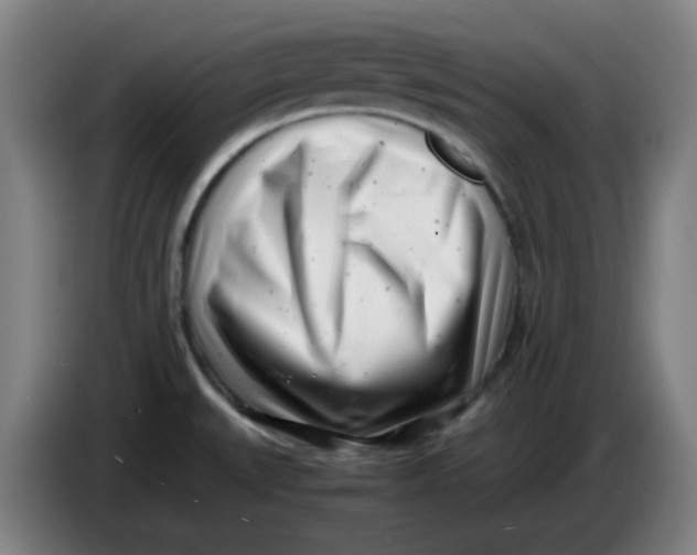 X0000085211527200703301630