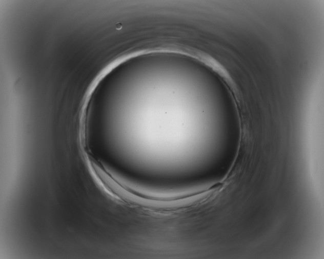 X0000085211528200703301630