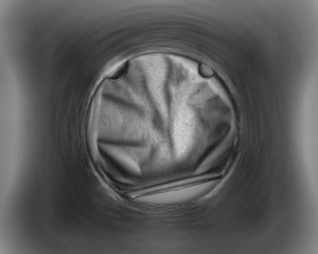 X0000085211529200703301630