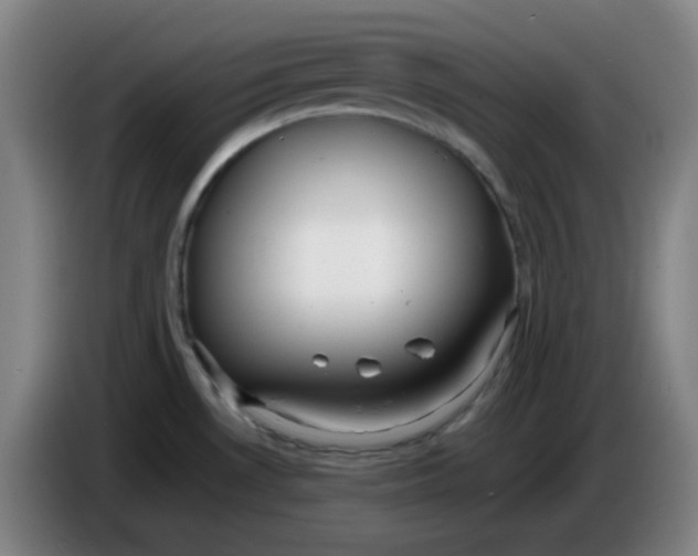 X0000085211530200703301630