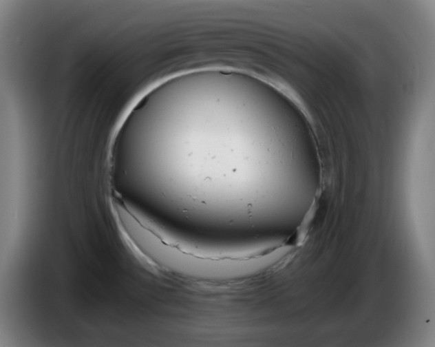 X0000085211532200703301630