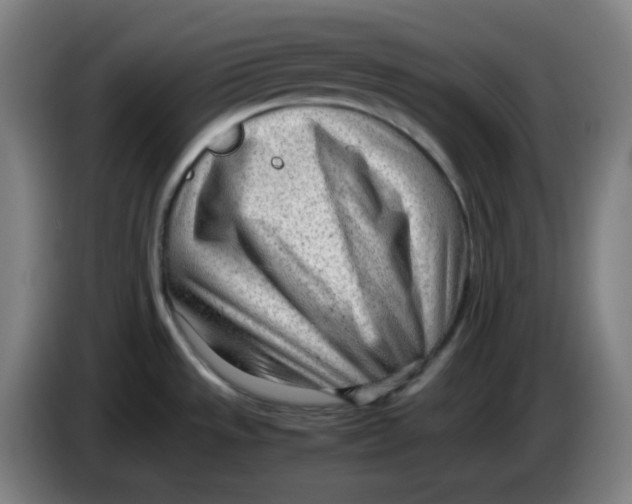 X0000085211533200703301630